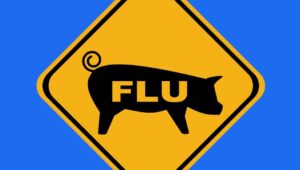 swine flu ke lakshan