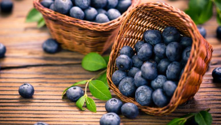 Eating blueberries daily can help women with muscle growth and repair:  Study.-हे गर्ल्स, आपकी मांसपेशियों के लिए बहुत फायदेमंद है ब्लूबेरी, हर रोज  करें इसका सेवन : शोध!