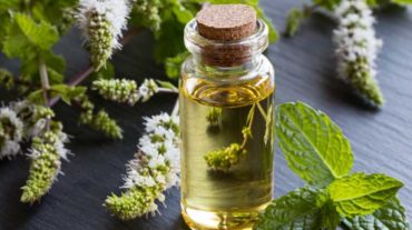 peppermint essential oil is beneficial for mental health