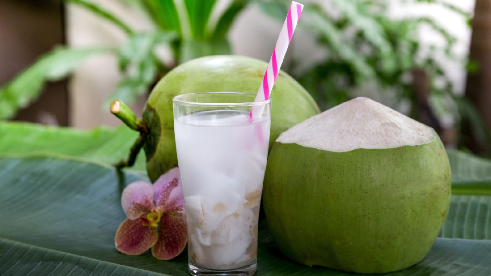 coconut water ke fayde