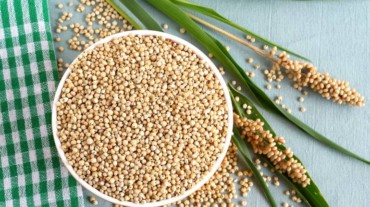millets for healthy eating