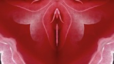 anatomy of vagina