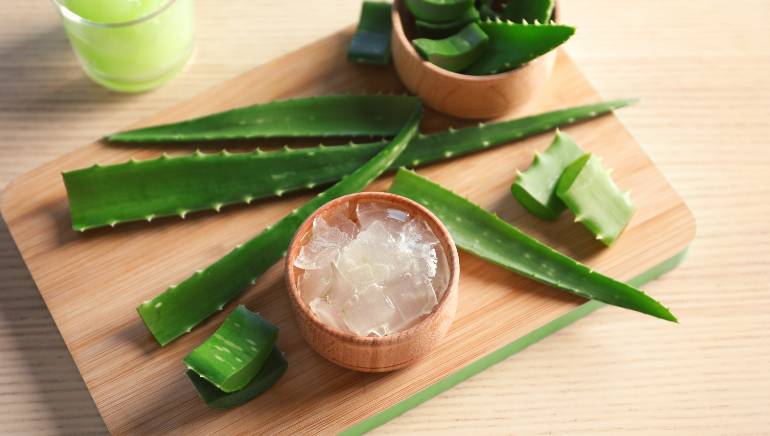 5 reasons why aloe vera gel is a blessing for your skin and hair