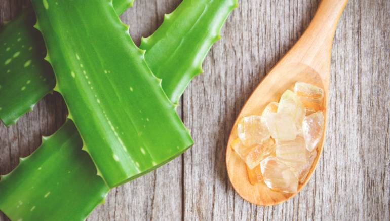 All the ways to use Aloe vera gel for hair!