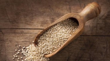 quinoa for weight loss