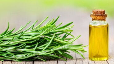 Rosemary oil for hair: Benefits and ways to use for hair growth |  HealthShots